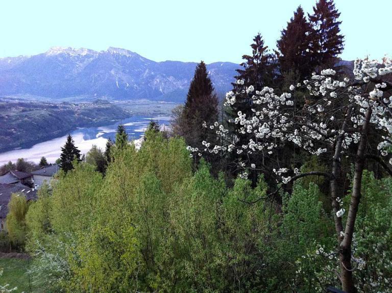 B&B Alba Sul Lago Перджине-Вальсугана Екстер'єр фото